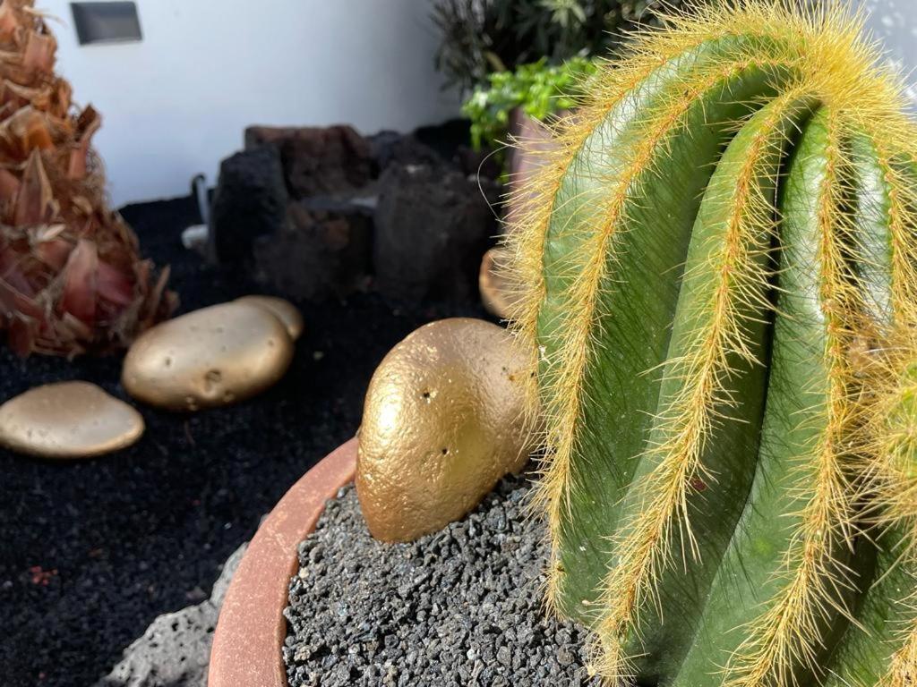 Apartamento El Jable Arrecife  Buitenkant foto